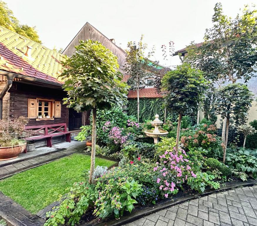 Abc * Kamnik